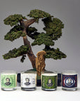 The Protection Bundle