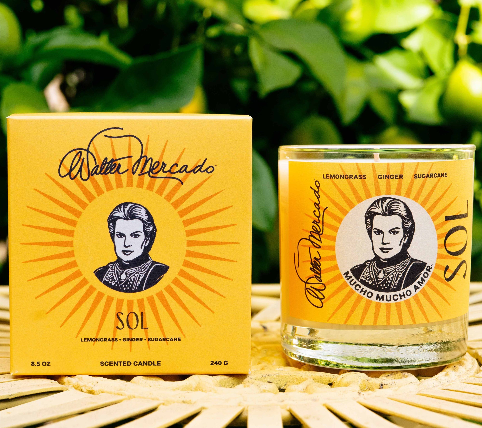 Walter Mercado Sol candle, designed to ignite clarity, strength, and personal power—infused with warm, energizing scents and crafted to channel the vibrant force of the sun