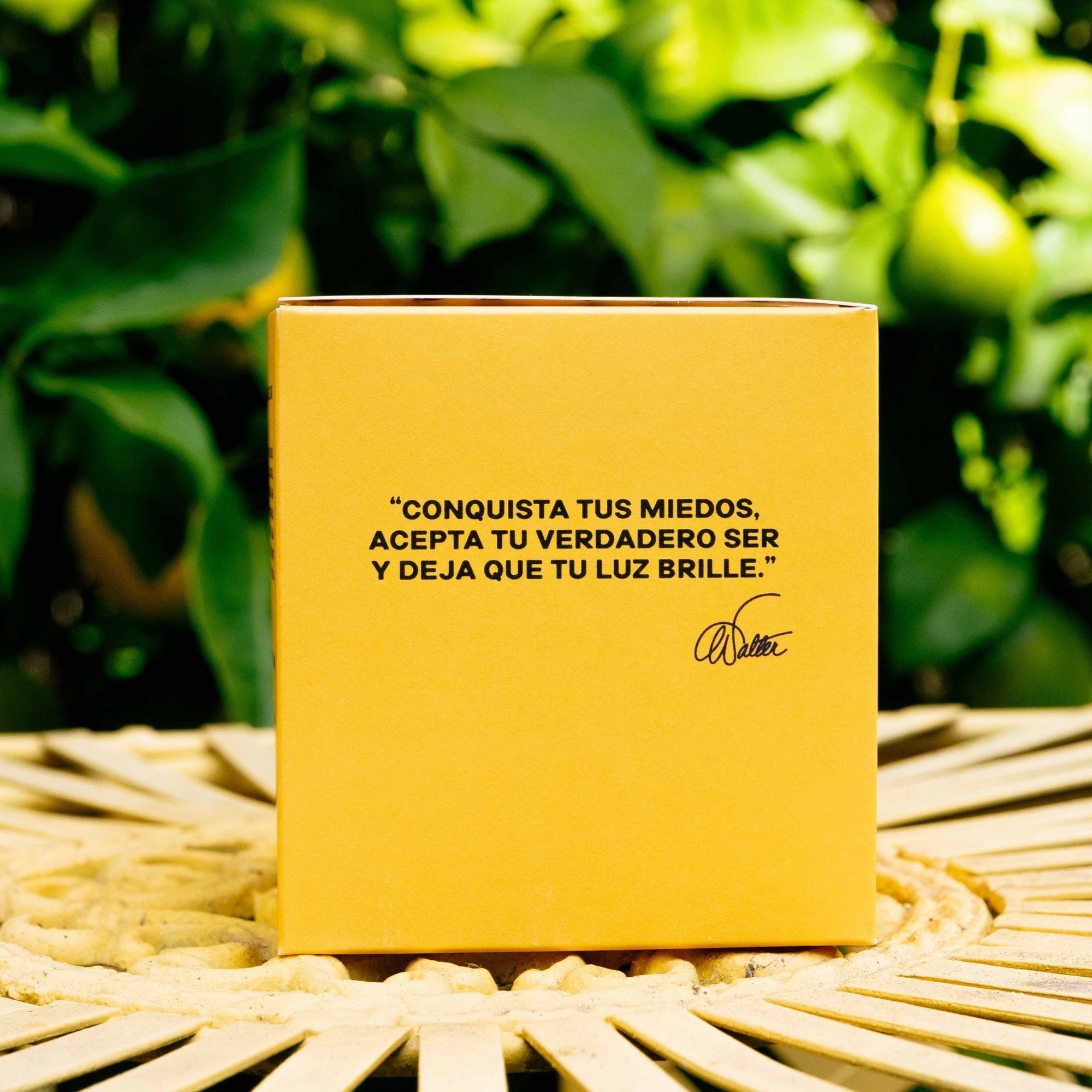 Walter Mercado Sol candle, designed to ignite clarity, strength, and personal power—infused with warm, energizing scents and crafted to channel the vibrant force of the sun