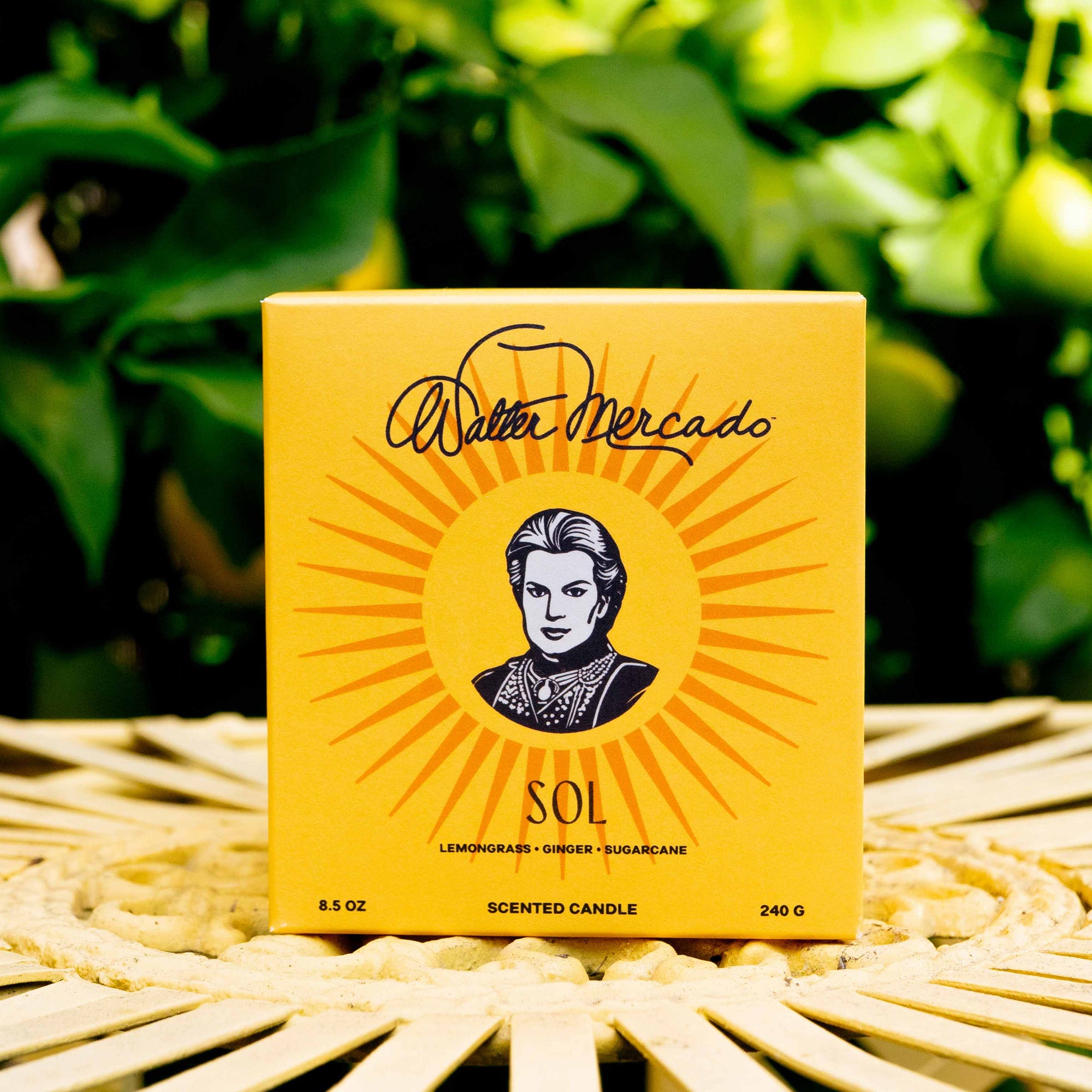 Walter Mercado Sol candle, designed to ignite clarity, strength, and personal power—infused with warm, energizing scents and crafted to channel the vibrant force of the sun