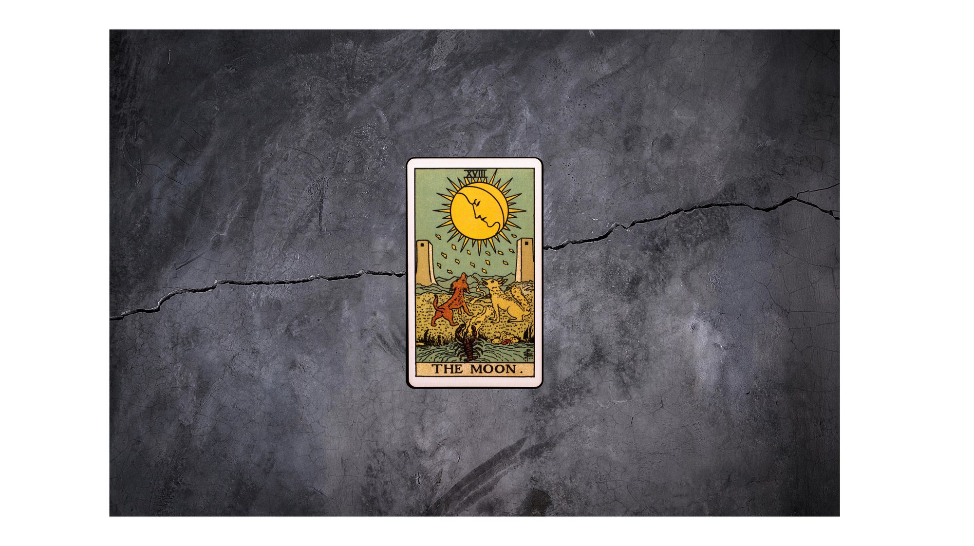 Walter Mercado Luna Candle with Tabacco Vanilla and Amber. A earthy, sweet, resinous aroma, inspired by the moon’s mystical energy and designed to deepen spiritual awareness. Mucho Mucho Amor!
